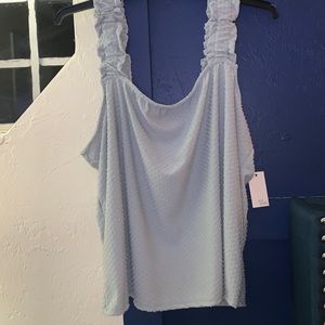 Sleeveless top, sage green, 1X,